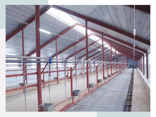 Строительство коровников в Вятских Поляне от 609 руб.