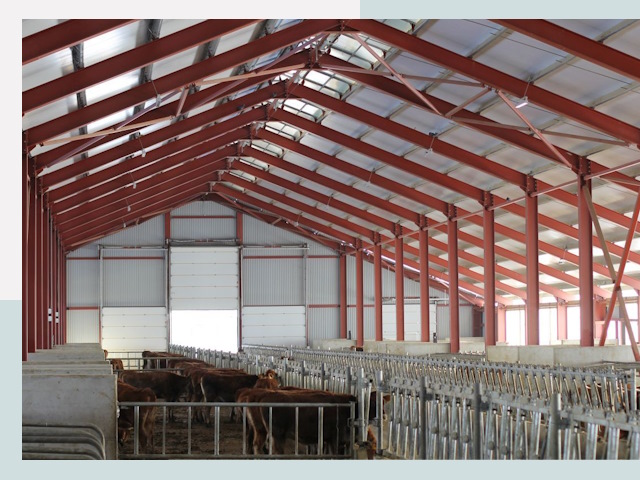 Строительство коровников в Вятских Поляне