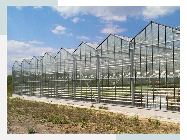 Строительство теплиц в Вятские Поляны от 609 руб. за м²