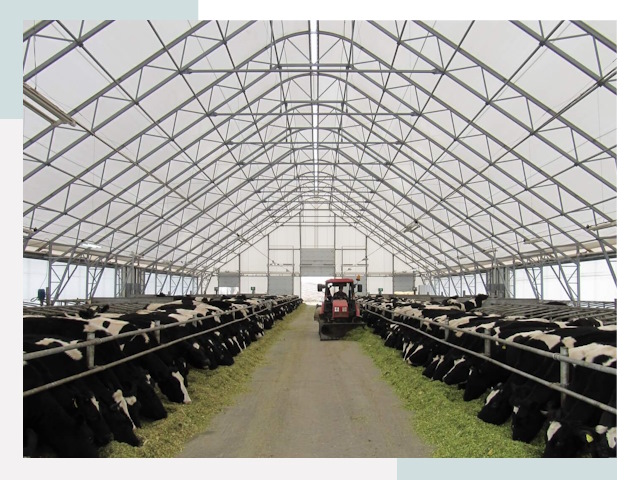 Тентовые коровники в Вятских Поляне от 609 руб. - Надежно и доступно