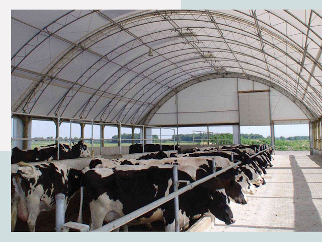 Тентовые коровники в Вятских Поляне